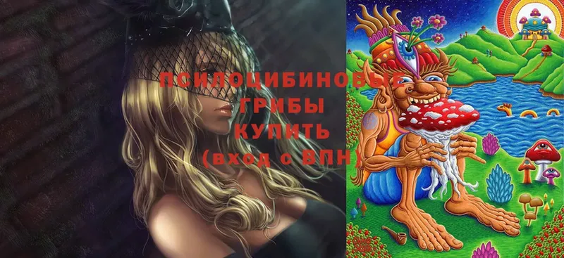 OMG ссылки  Карабаново  Галлюциногенные грибы GOLDEN TEACHER 